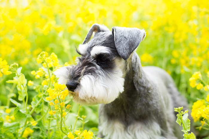 アフターフォロー