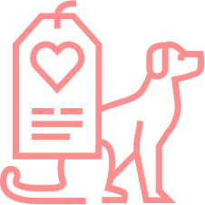 ブリーダー直営で安心