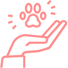 お迎えしやすい価格